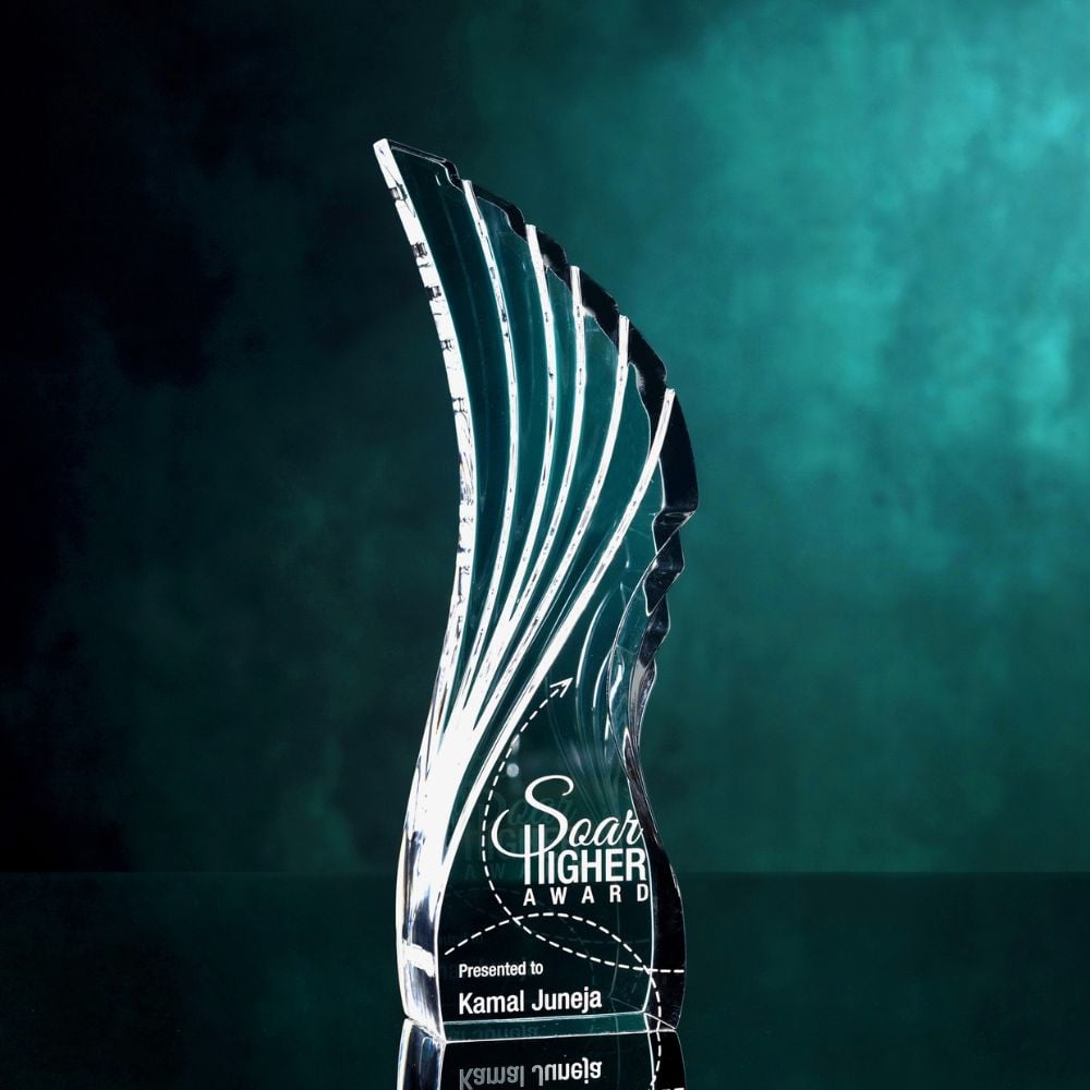 The Limitations of Local Trophy Shops 5 Soar High Award