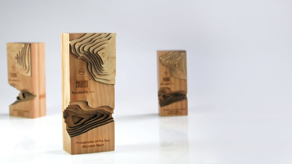 The Limitations of Local Trophy Shops 6 Sustainable Awards