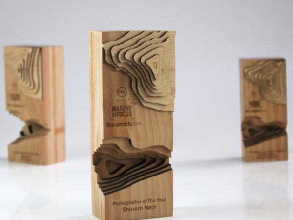 Three wooden awards with intricate designs on them