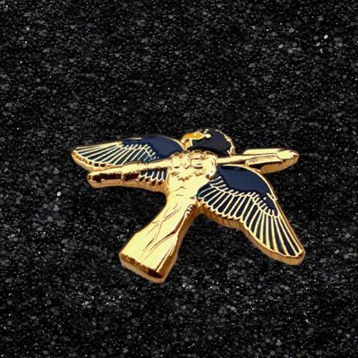 Stylish lapel pin with eagle design in gold and blue color.